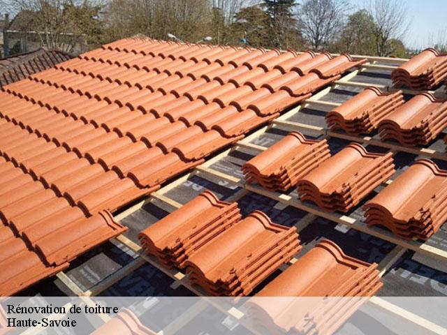 Rénovation de toiture Haute-Savoie 