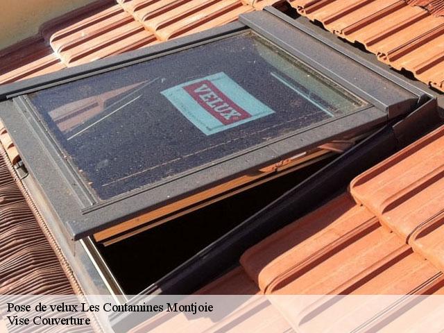 Pose de velux  les-contamines-montjoie-74170 Vise Couverture