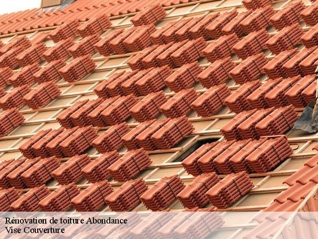 Rénovation de toiture  abondance-74360 Vise Couverture