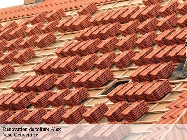 Rénovation de toiture  alex-74290 Vise Couverture