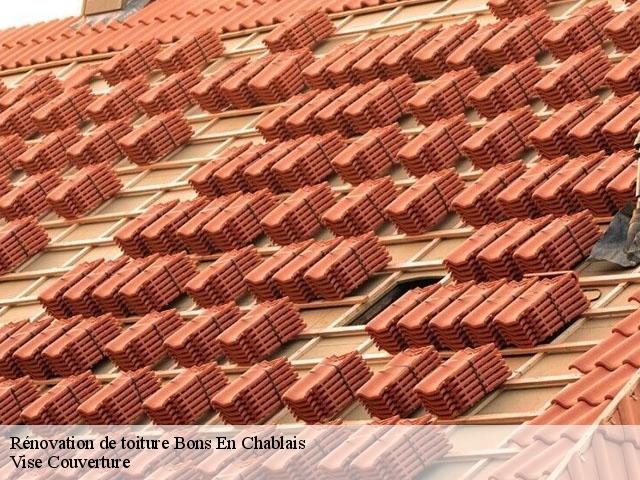 Rénovation de toiture  bons-en-chablais-74890 Vise Couverture