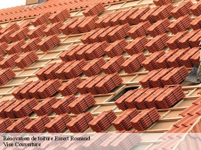 Rénovation de toiture  essert-romand-74110 Vise Couverture