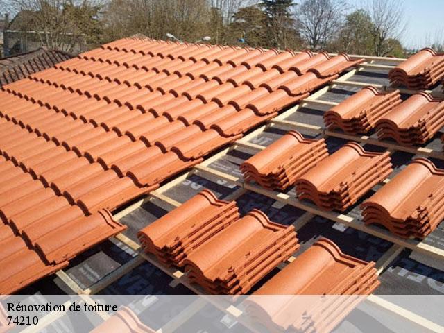 Rénovation de toiture 74210