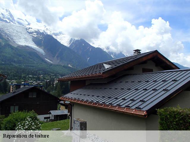 Réparation de toiture Haute-Savoie 