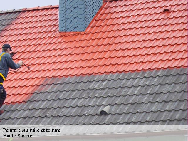 Peinture sur tuile Haute-Savoie