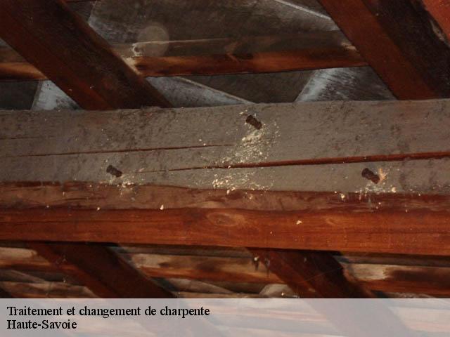 Traitement de charpente