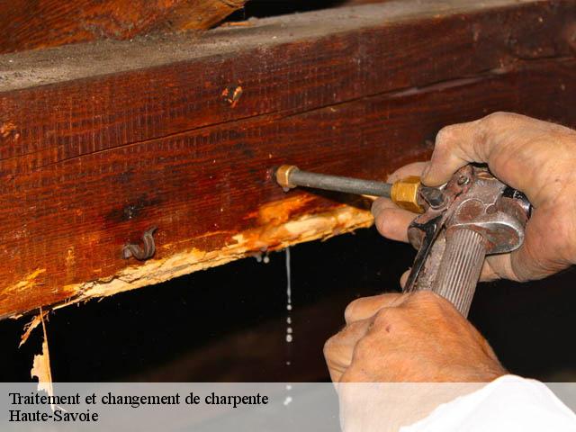 Traitement de charpente Haute-Savoie