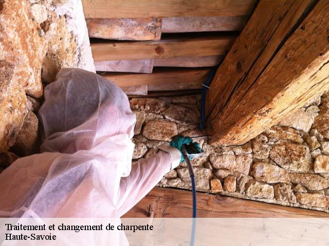 Traitement de charpente Haute-Savoie