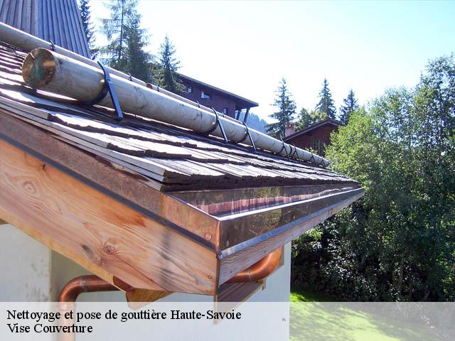 Nettoyage et pose de gouttière 74 Haute-Savoie  Vise Couverture