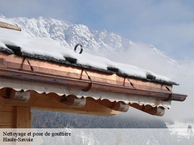 Nettoyage et pose de gouttière Haute-Savoie 