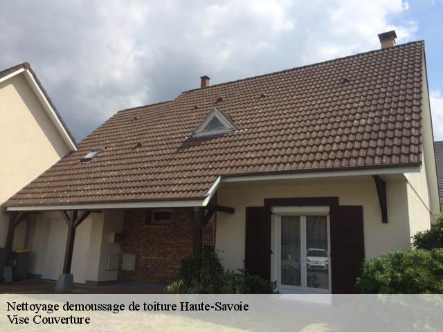 Nettoyage demoussage de toiture 74 Haute-Savoie  Vise Couverture
