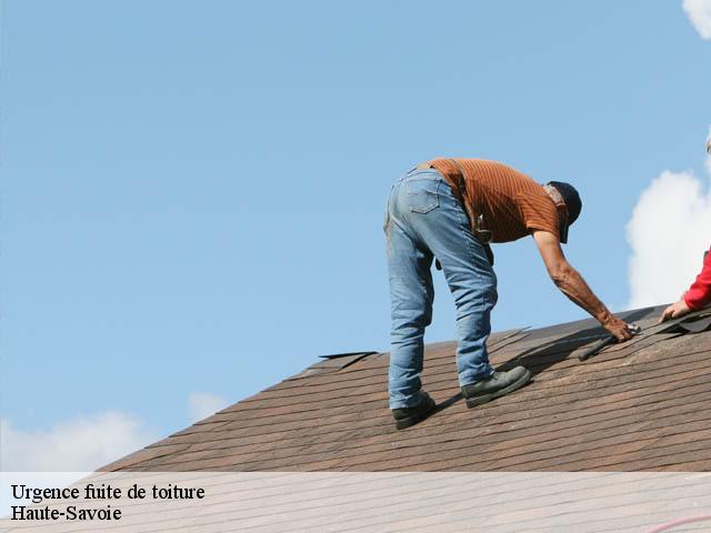 Réparation fuite de toiture Haute-Savoie