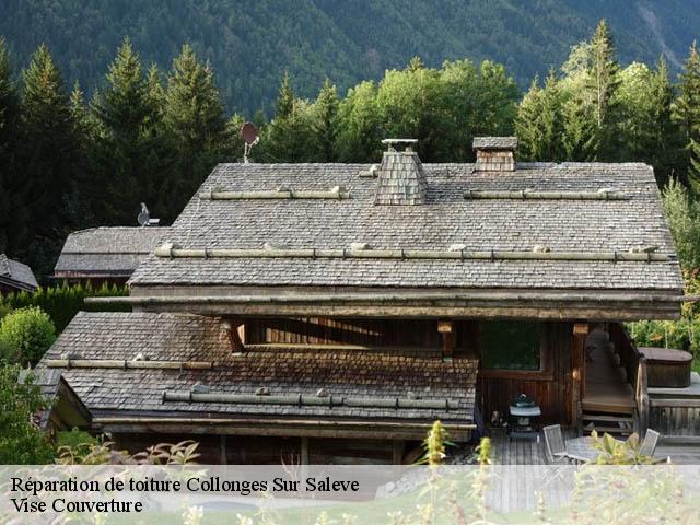 Réparation de toiture  collonges-sur-saleve-74160 Vise Couverture