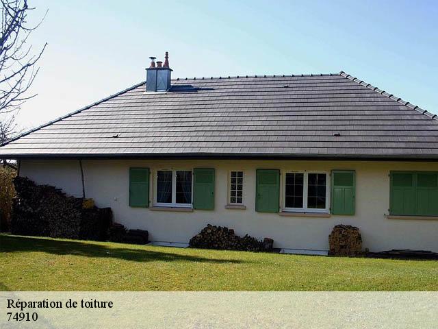 Réparation de toiture 74910