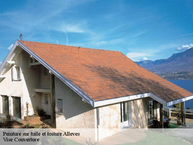 Peinture sur tuile et toiture  alleves-74540 Vise Couverture