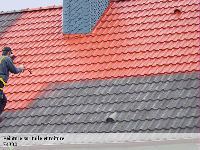 Peinture sur tuile et toiture 74330