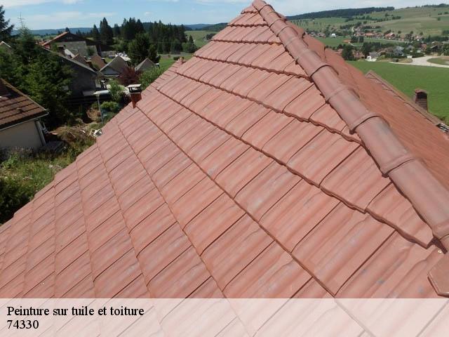 Peinture sur tuile et toiture 74330