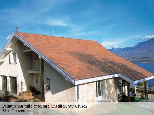 Peinture sur tuile et toiture  chatillon-sur-cluses-74300 Vise Couverture