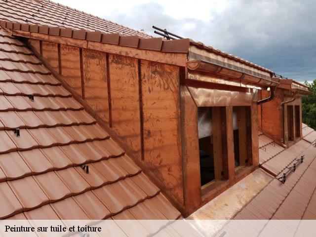 Peinture sur tuile et toiture  74740