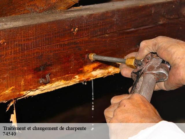 Traitement et changement de charpente  74540