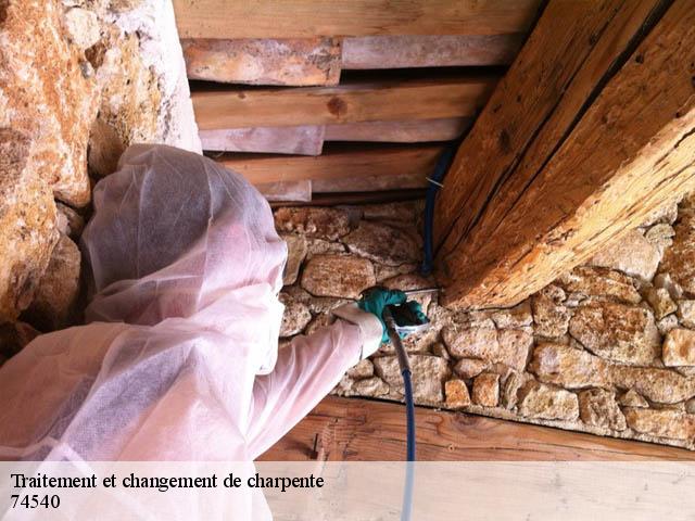 Traitement et changement de charpente  74540