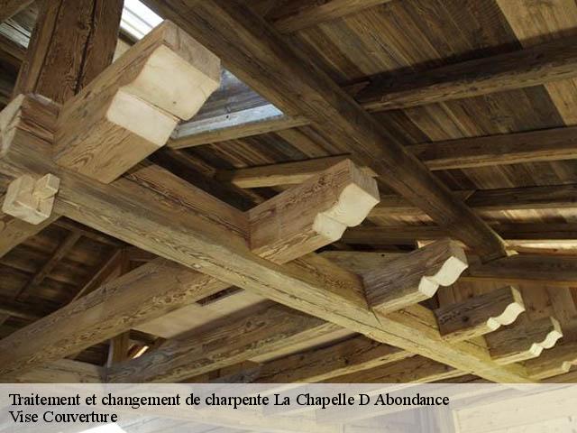 Traitement et changement de charpente  74360