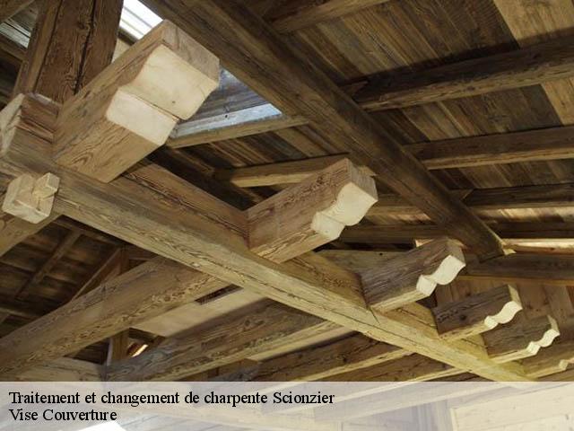 Traitement et changement de charpente 74950
