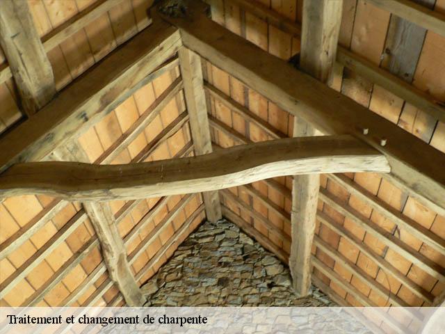 Traitement et changement de charpente 74950