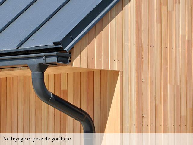 Nettoyage et pose de gouttière 74800