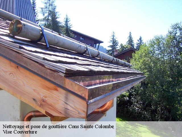Nettoyage et pose de gouttière cons-sainte-colombe-74210