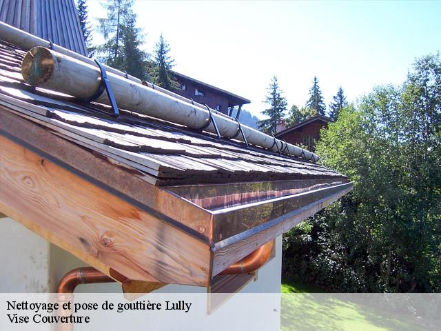 Nettoyage et pose de gouttière  lully-74890 Vise Couverture