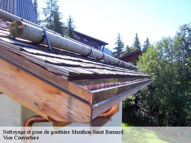Nettoyage et pose de gouttière  menthon-saint-bernard-74290 Vise Couverture