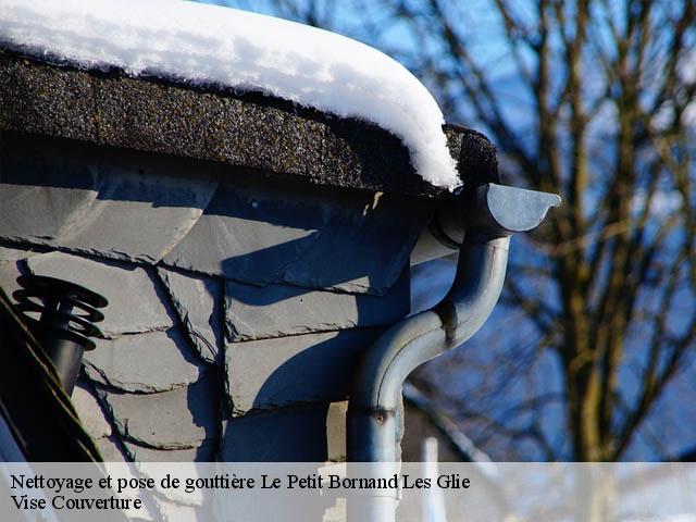 Nettoyage et pose de gouttière 74130