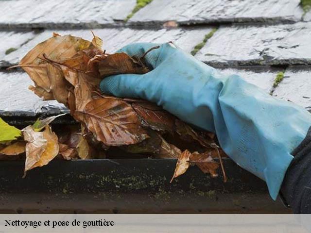 Nettoyage et pose de gouttière