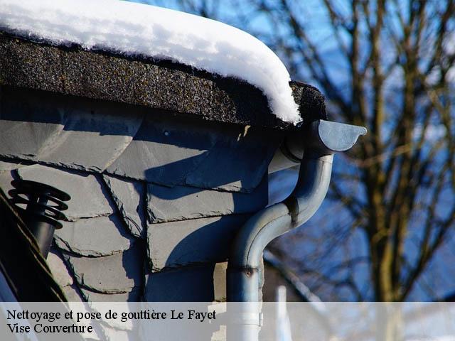 Nettoyage et pose de gouttière 74190