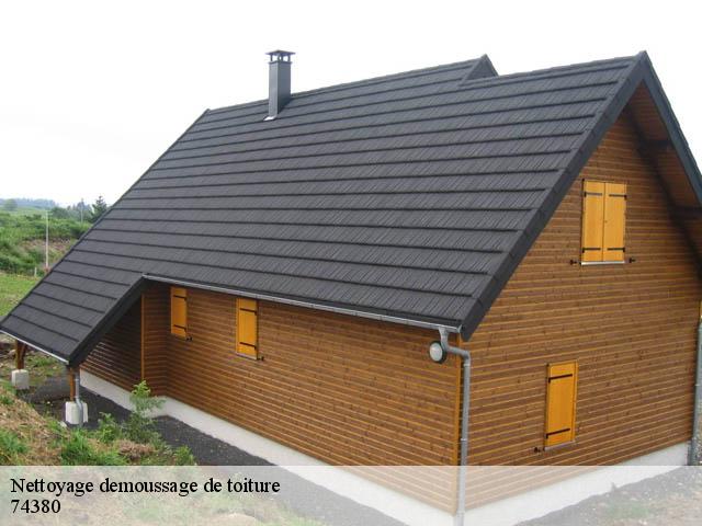 Nettoyage demoussage de toiture 74380