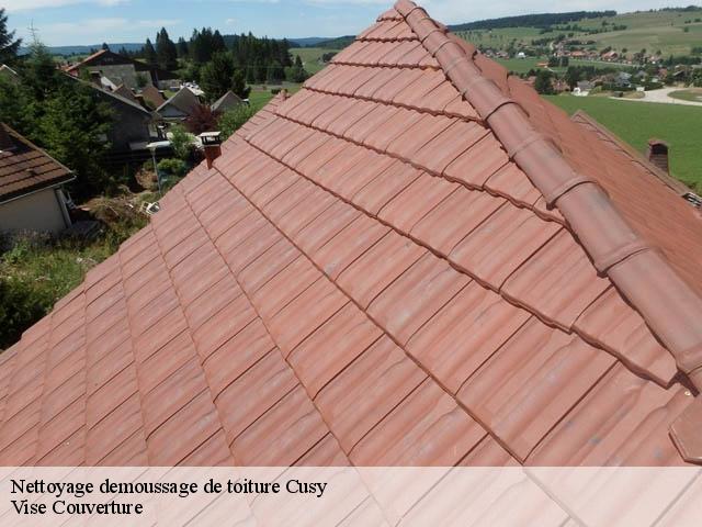 Nettoyage demoussage de toiture 74540
