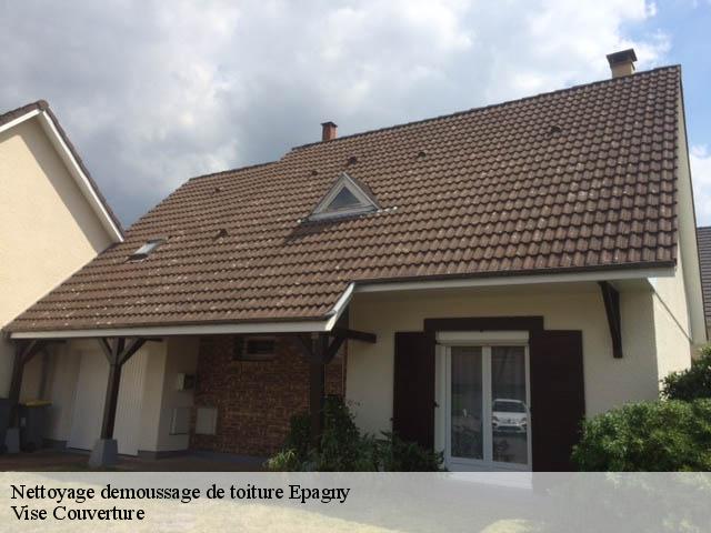 Nettoyage demoussage de toiture epagny-74330