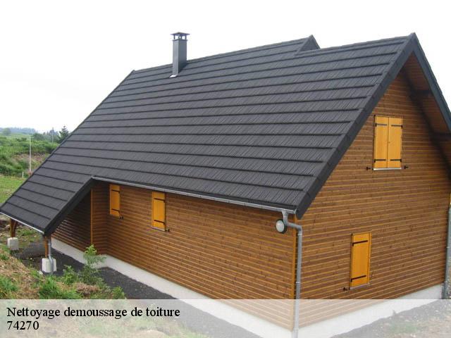 Nettoyage demoussage de toiture 74270