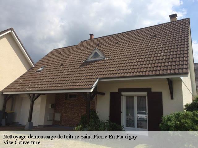 Nettoyage demoussage de toiture  saint-pierre-en-faucigny-74800 Vise Couverture