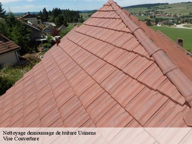 Nettoyage demoussage de toiture 74910
