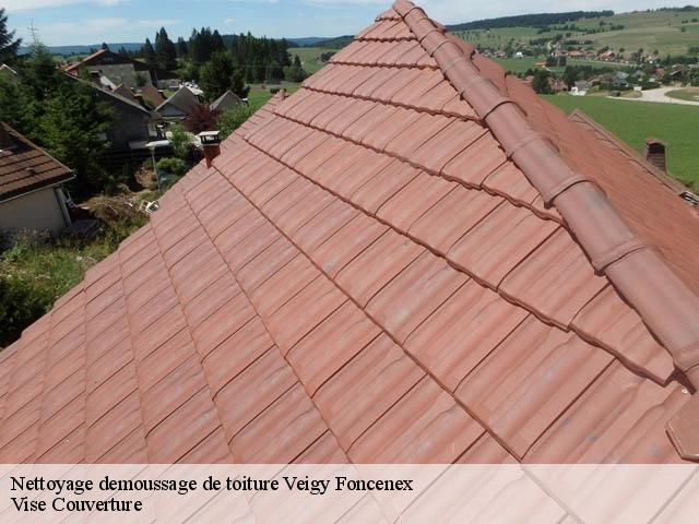 Nettoyage demoussage de toiture 74140