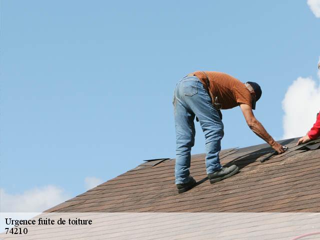 Urgence fuite de toiture 74210