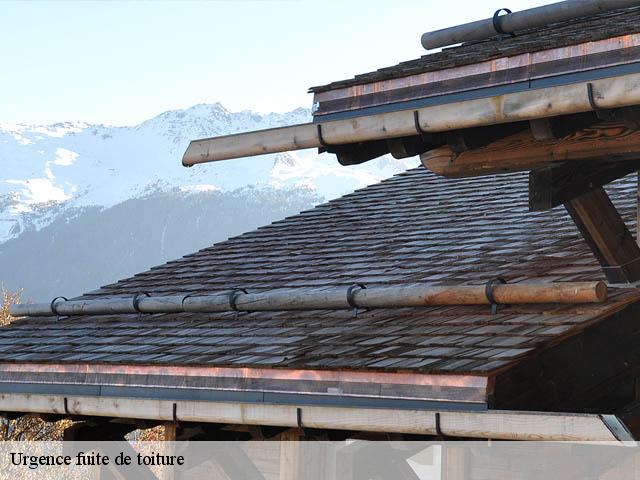 Urgence fuite de toiture 74210