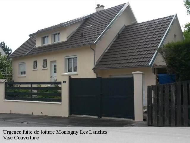 Urgence fuite de toiture 74600