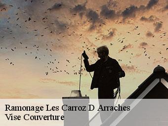Ramonage  les-carroz-d-arraches-74300 Vise Couverture